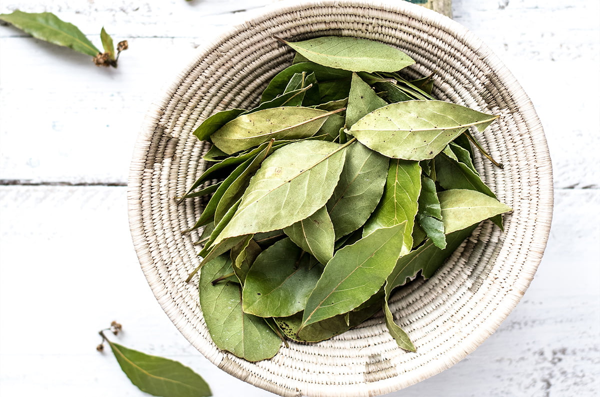 The Best Alternatives to Bay Leaves for Delicious Cooking