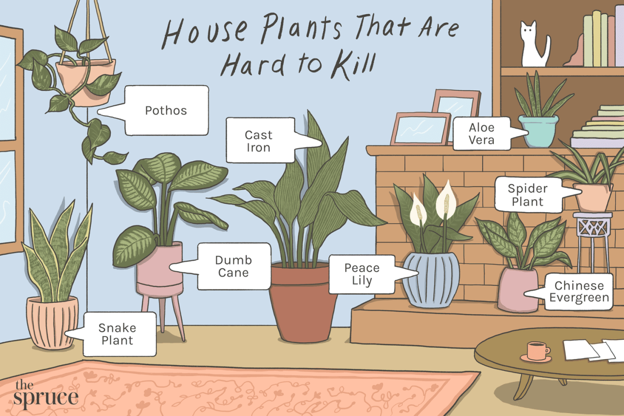 The Easiest Common Houseplants to Start Growing Indoors