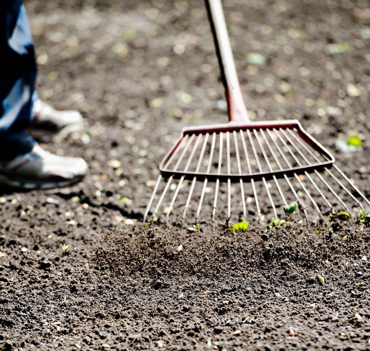 The Top Tips for Effective Grass Seed Planting in September